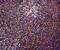 Orange-Multi Nylon-Poly Scattered Sequined Stretch Knit Fabric By the Yard